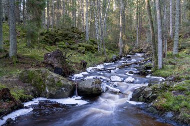 İsveç 'in Jonkoping ve Taberg Stream' in dışındaki Kış Ormanları 'nda Dondurucu Dondurucu Hassafell Şelalesi. İsveç nehirleri ve şelaleler doğada kış mevsimi rezervi.