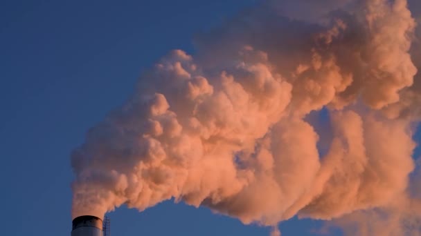瑞典皮蒂亚造纸厂在深夜向大气排放温室气体的同时 燃烧着五颜六色的浓烟 — 图库视频影像