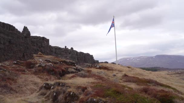 Flaga Islandii Pełnym Ruchu Przez Wiatr Podczas Późnej Wiosny Parku — Wideo stockowe