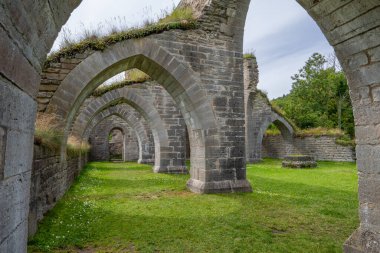 Alvastra Manastırı 'ndaki karmaşık taş detaylarına yakın çekim. Bu tarihi mekanın zanaatkarlığını ve yaşını gösterin. Mimarlık, tarih ve kültür projeleri için ideal.