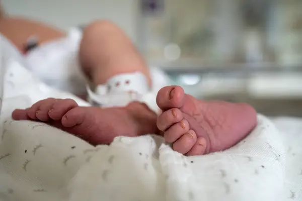 Stock image A newborn babys feet wrapped in a soft white blanket with black prints. The baby wears an identification bracelet, symbolizing hospital care. Image evokes feelings of new beginnings and tenderness.