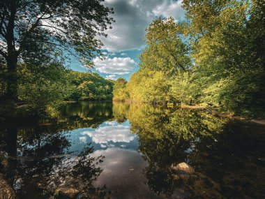 Framingham, Boston, Massachusetts, ABD 'deki Callahan Eyalet Parkı' ndaki Kartal Gölü manzarası..
