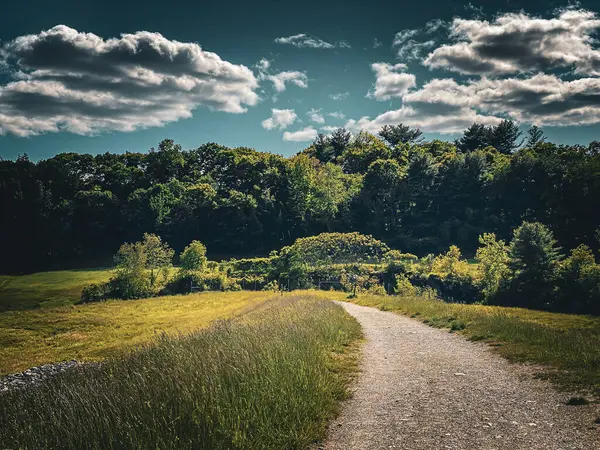 Framingham, Boston, Massachusetts, ABD 'deki Callahan Eyalet Parkı' nda manzara.