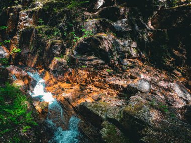 Flume Vadisi, New Hampshire, ABD 'de su akıntısı.
