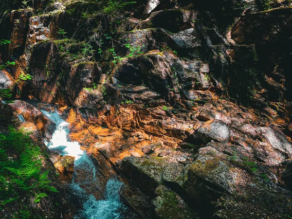 Поток Воды Ущелье Флум Нью Гемпшир Сша — стоковое фото