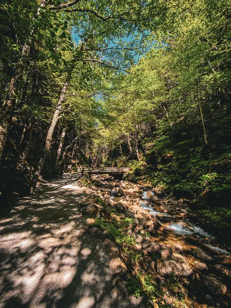 Flume Gorge New Hampshire Usa — Stockfoto