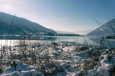 Kar ve ağaçlarla dolu güzel kış manzarası