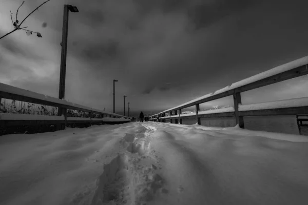 Schwarz Weißer Schneebedeckter Pier Mit Brücke Und Fluss Winterlandschaft — Stockfoto