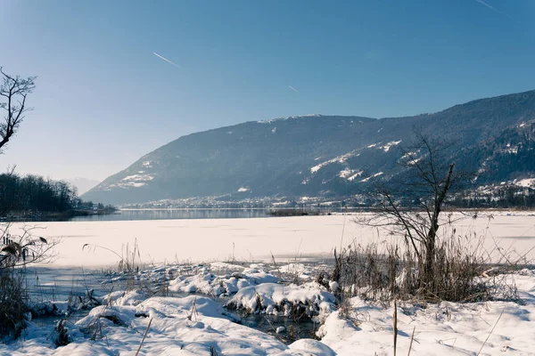 stock image beautiful winter landscape with snow and trees