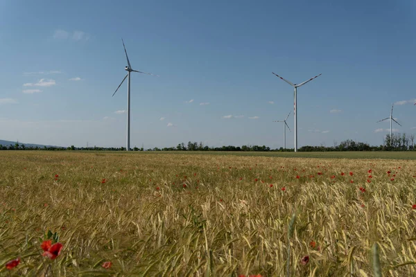 Енергія Вітряка Зелена Електрика Навколишнє Середовище Сонце Літо — стокове фото