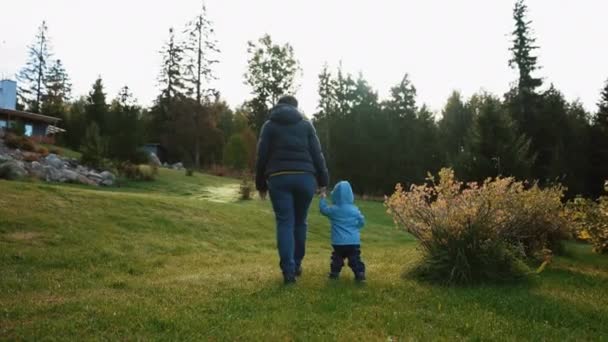 Woman Toddler Join Hands Walking Green Grass Glade Trees Forest — Stock Video