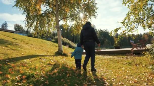 女は晴れた秋の日に白樺の木の近くの芝生の上を歩く息子の手を保持します 母と子供は田舎で時間を楽しむ裏面ビュースローモーション — ストック動画