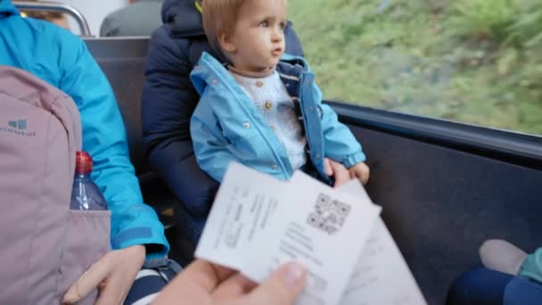 Mujer Con Lindo Niño Disfruta Viajar Por Suiza Tren Pasajeros — Vídeo de stock
