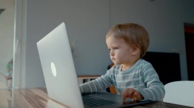 Odaklanmış küçük çocuk masadaki modern dizüstü bilgisayarda çizgi film izliyor. Sarışın çocuk hafta sonu sabahını evinde bir aletle geçiriyor.