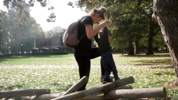 Woman Hair Bun Helps Active Toddler Walk Wooden Logs Holding — Vídeo de stock
