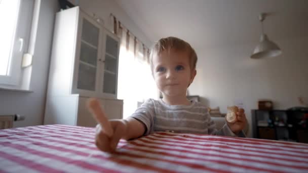 小さな少年が世界を魅了する瞬間を目の当たりにし 彼のパンの支配力で世界を魅了し 単一のスライスの可能性を明らかにします — ストック動画