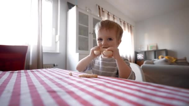 Mira Como Niño Sumerge Mundo Gastronomía Sentado Una Mesa Disfrutando — Vídeos de Stock