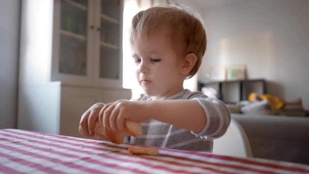 Privește Băiețel Curios Aventuros Angajează Într Explorare Gastronomică Stând Masă — Videoclip de stoc