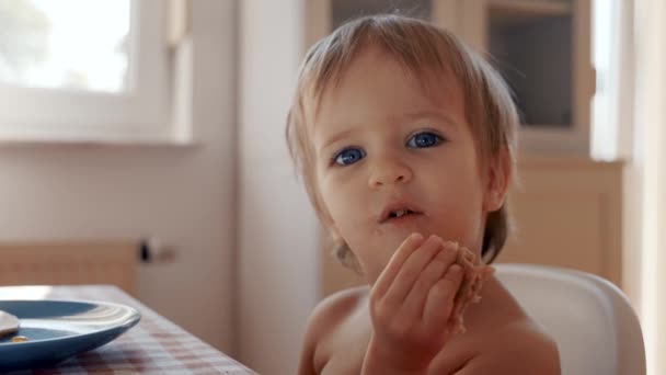Маленька Дитина Сидить Столом Тарілкою Їжі Займається Їжею Досліджує Їжу — стокове відео