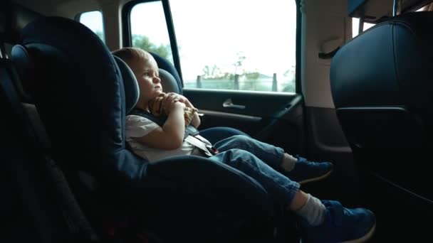 Видеосъемка Изображения Мальчика Сидящего Автомобильном Кресле — стоковое видео