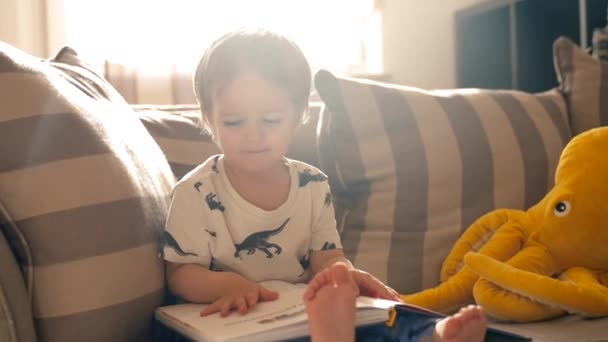 Маленький Мальчик Сидит Диване Погруженный Чтение Книги — стоковое видео