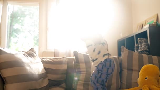 Video Oturma Odasında Peluş Bir Hayvanla Duran Birini Gösteriyor — Stok video
