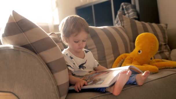 Niño Pequeño Absorto Lectura Libro Sentado Cómodamente Sofá — Vídeos de Stock