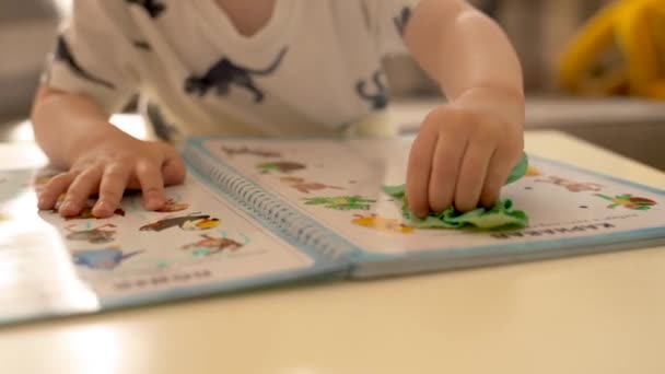 Uma Criança Pequena Explora Interage Com Livro Sobre Uma Mesa — Vídeo de Stock