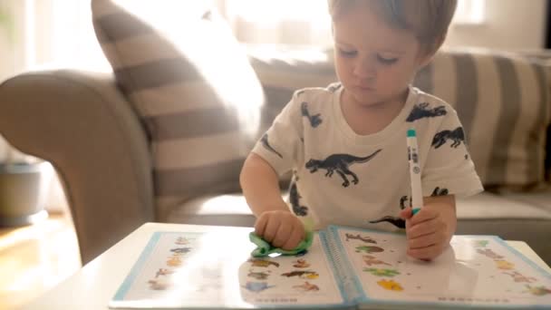 一个小男孩坐在桌旁 在舒适的客厅里教书育书 同时还用钢笔做运动 — 图库视频影像