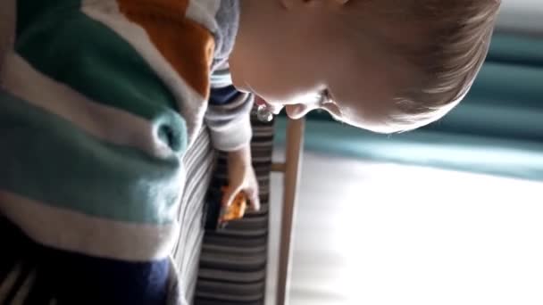 Seitenansicht Des Netten Kleinen Jungen Lässiger Kleidung Der Neben Dem — Stockvideo