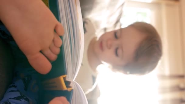 Niño Dedica Leer Libro Mientras Está Sentado Cómodamente Sofá Imágenes — Vídeos de Stock