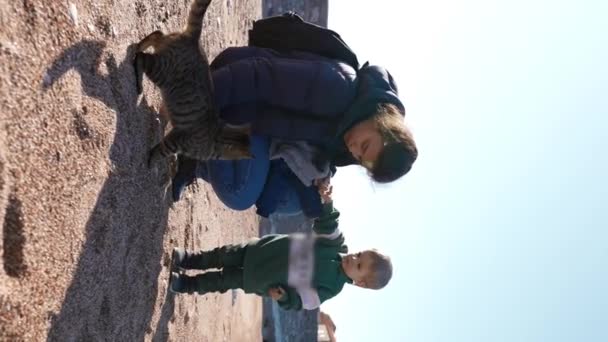 Słoneczna Plaża Saint Stefan Czarnogóra Jako Dziecko Matka Ich Kot — Wideo stockowe