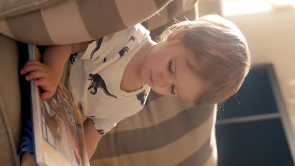 Niño Pequeño Absorto Lectura Libro Mientras Está Sentado Cómodamente Sofá — Vídeo de stock