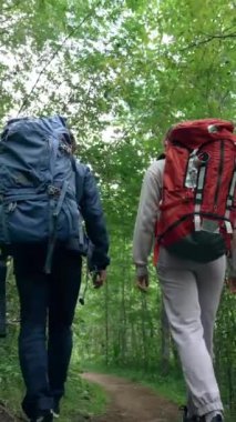 Parlak sırt çantaları takan iki genç yürüyüşçü ormanın derinliklerinde sık ağaçların arasında yürürler. Erkek ve kadın sıkıcı bir günde birlikte yürümekten hoşlanırlar. Yavaş çekim dikey çekim..