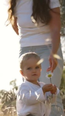 Sarışın çocuk, kuru çayır çimlerinde annesinin yanında duran papatya çiçeğini tutuyor. Kadın ve çocuk kırsal alanda güneşli havanın keyfini çıkarıyorlar. Yavaş çekim dikey çekim.