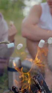 Birkaç genç turist kamp ateşinin üstündeki çubuklarda marşmelov kızartıyor. Mutlu insanlar otlakta tatilin tadını çıkarır. Sıkıcı bir akşamda marşmelov pişirirler. Dikey çekim..