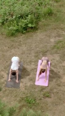 Erkek ve kadın, çimenli çayırlarda yoga yunusu pozu veriyorlar. Gençler Asana 'ya odaklanır. Güneşli havanın keyfini çıkarırlar. Üst manzara dikey çekim..