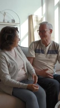 Mutlu yaşlı çift dizüstü bilgisayarla aile psikoloğuyla konuşuyor. Yaşlı erkek ve kadın, başarılı terapi sonrası başparmak hareketi göstererek sarılır..