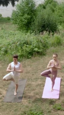 Genç adam ve kadın birlikte nehir kıyısındaki minderlerde yoga ağacı pozu veriyorlar. İnsanlar Asana 'ya odaklanır çimenli tepenin havadan görünüşünün keyfini çıkarırlar. Dikey çekim.