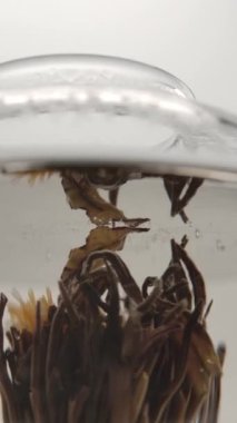 Çay çiçeği demlenir ve demlikte demlenir. Zaman ayarında. Güzel, lezzetli, alışılmadık bir çay. Dikey çekim.