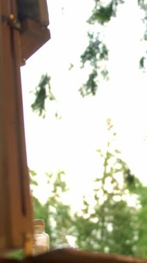 Sanat ressamı kadın ressam sosyal ağda açık havada tuvalin yanında, ormanda sohbet ediyor. Düşük açı. Akıllı telefon ellerde. Düşük açılı orta açı. Dikey çekim.