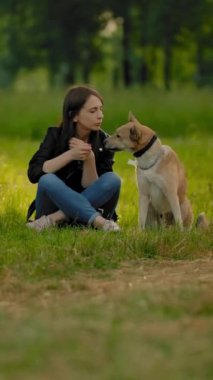 Parktaki genç bir kız köpeğiyle iletişim kuruyor, kafasını okşuyor, kulağının arkasını tırmalıyor. Şehir parkındaki yeşil çimlerin üzerinde bir yaz akşamı geniş çaplı statik plan. Dikey çekim.
