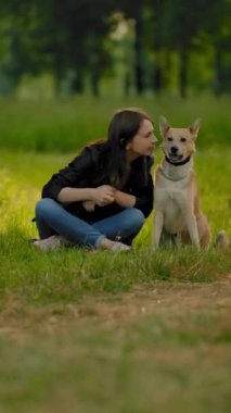 Parktaki kahverengi saçlı genç bir kadın köpeğiyle iletişim kuruyor, kafasını okşuyor, kulağının arkasını tırmalıyor. Şehir parkındaki yeşil çimlerin üzerinde bir yaz akşamı geniş çaplı statik plan. Dikey çekim.