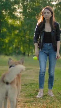 Çekici dişi, köpeğini geri getirmek için bir tenis topu fırlatıyor. Evcil bir hayvanla eğlenceli bir oyun. Komik bir safkan köpek yavrusu balonun peşinden koşar ve onu metresine götürür. Ağır çekim ve gerçek zamanlı.
