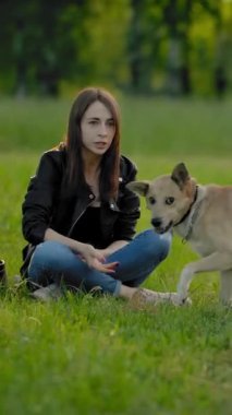 Bir kız geri getirmek için köpeğine tenis topu atıyor. Evcil bir hayvanla eğlenceli bir oyun. Komik safkan bir köpek balonun peşinden koşar ve onu metresine götürür. Yavaş çekim dikey çekim.