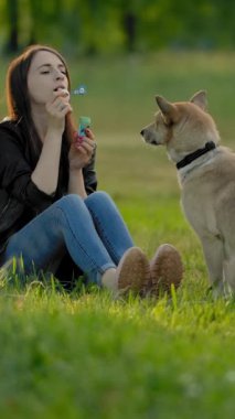 Bir kız köpeğine parkta sabun köpüğü üflüyor. Köpek, onunla birlikte sabun köpüğü içinde metreslerinin oyununa dikkat etmez. Dikey çekim.