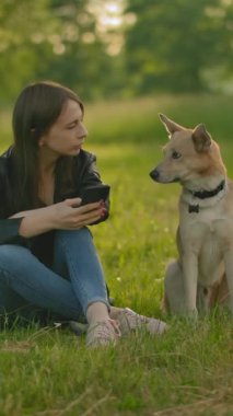 Köpeğin yanındaki akıllı telefondan sosyal ağlarını kontrol eden kız. Modern mobil teknoloji. Parkta evcil bir hayvanla yürürken internet erişimi. Dikey çekim.