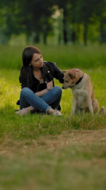 Kot pantolonlu ve deri ceketli bir kadın köpeğiyle iletişim kuruyor, kafasını okşuyor, parkta kulağının arkasını tırmalıyor. Şehir parkındaki yeşil çayırda bir yaz akşamının geniş statik görüntüsü.
