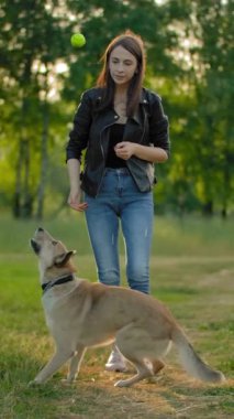 Kotlu ve siyah deri ceketli güzel bir kız topu havaya fırlatıyor. Köpeği topu yakalamak için zıplıyor. Ağır çekim. Akşam parkı. Dikey çekim.