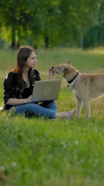 Parktaki safkan bir köpek metrese geliyor, dizlerinin üstünde bir dizüstü bilgisayarla oturuyor. İtaatkar sadık köpeği yaz parkında metresin yanında yürüyüşe çıkar. Köpeği okşayan kadın.